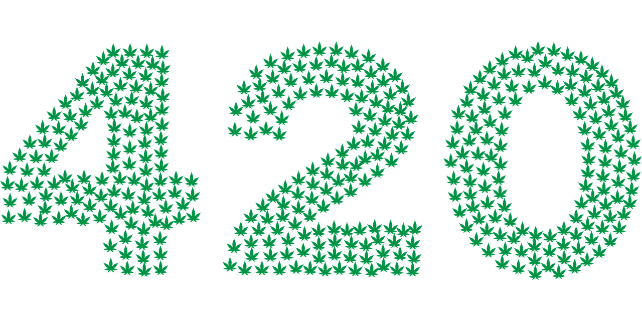 Cannabis3 Cannabis3